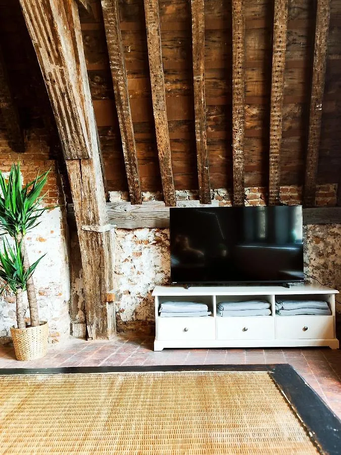 Rooftop Apartment With 60M Terrace Overlooking The Cathedral Antwerp